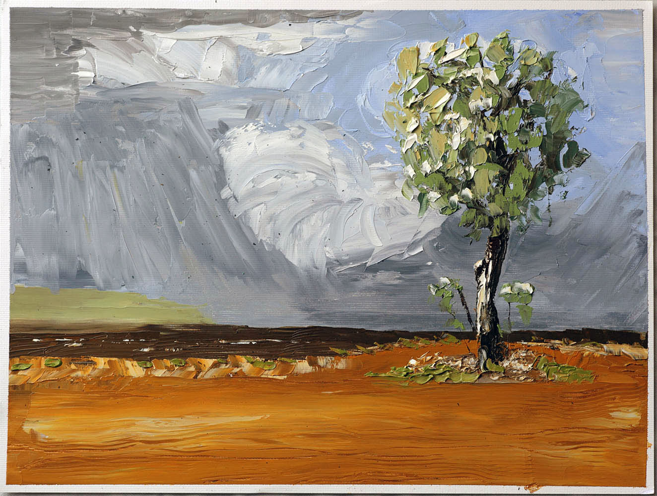 A tree in a place
